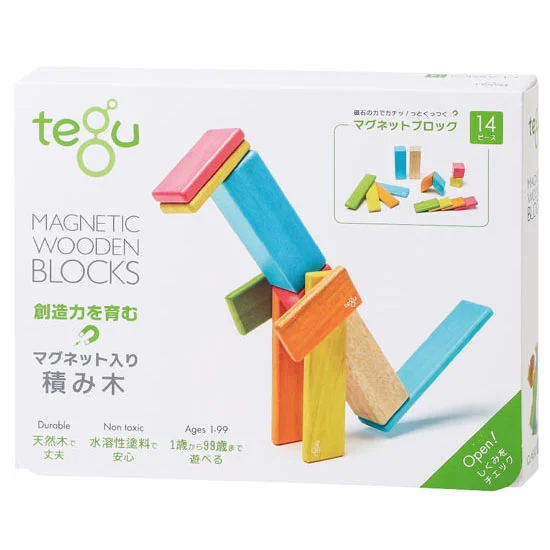 tegu マグネットブロック　ティント (14ピース）の画像2