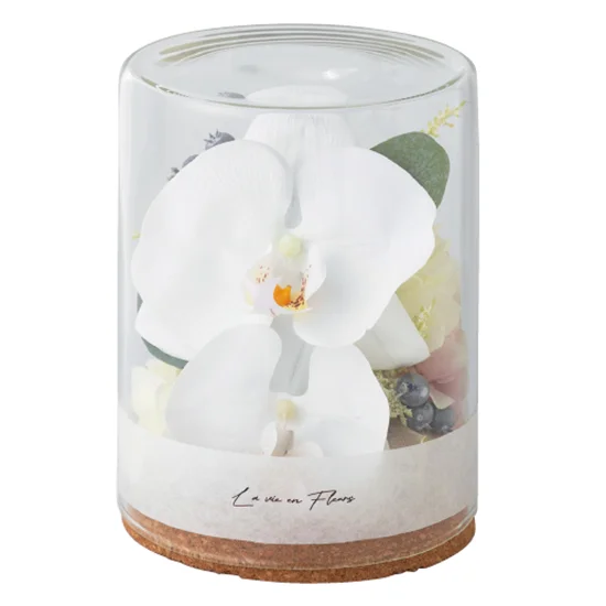 胡蝶蘭アレンジメントファレノジェミー