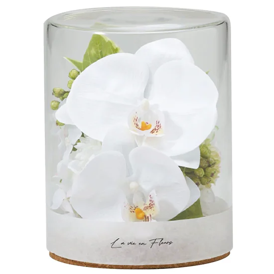 胡蝶蘭アレンジメントファレノジェム