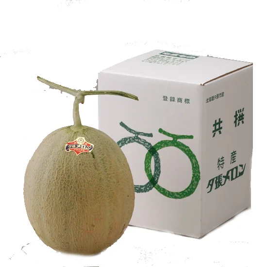 北海道産 夕張メロン 1玉 5400円 | 大進オンラインショップ
