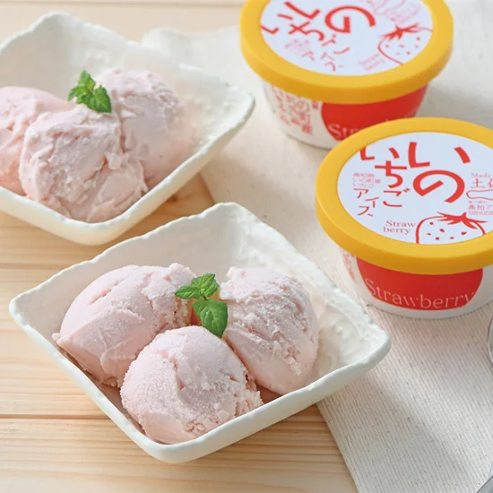 高知アイスいのいちごアイス１１個