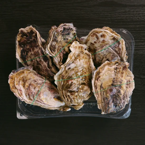 かなわ  生食用殻付生かき6個入り ハーフシェルオイスター宮島の画像2