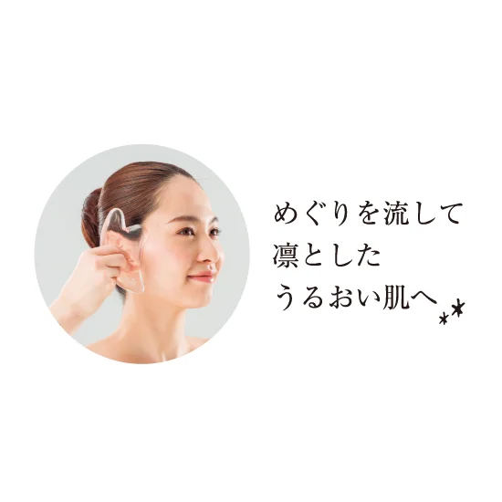 カーネーション鉢植え「バンビーノ」4号とReFaフェイスカッサ【母の日】の画像2