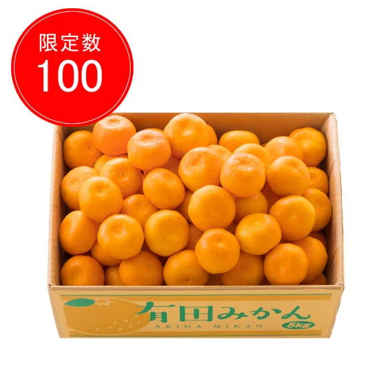 和歌山県産 有田みかん