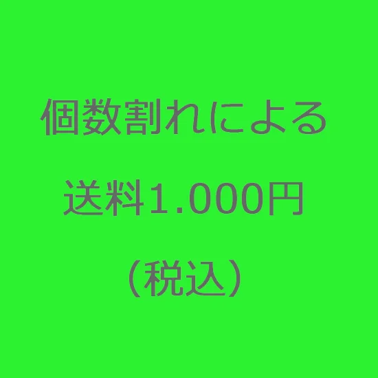 送料1.000円チケット