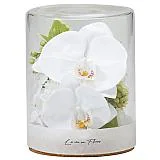 ��ĳ������󥸥��ȥե���Υ�����