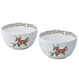 ﾉﾘﾀｹ ｵｰﾁｬｰﾄﾞｶﾞｰﾃﾞﾝ11cmﾃﾞｨｰﾌﾟﾍﾟｱﾎﾞｳﾙｾｯﾄ