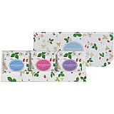 ｳｪｯｼﾞｳｯﾄﾞ ﾜｲﾙﾄﾞｽﾄﾛﾍﾞﾘｰティーバッグ