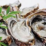 かなわ  生食用殻付生かき6個入り ハーフシェルオイスター宮島