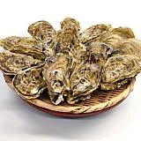 かなわ 生食用殻付かき20個入