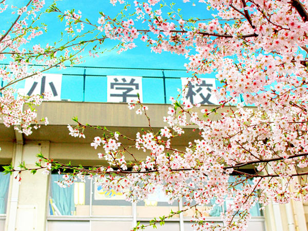桜と小学校
